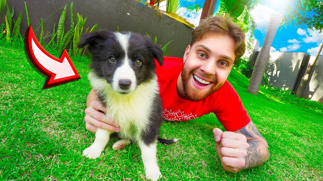 Surpresaa 😍 Viajei 800km Pra Comprar Esse Cachorrinho !! 🐶❤️