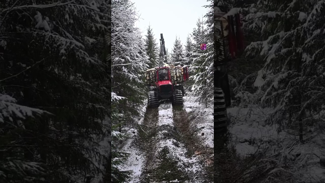 KOMATSU 895 WINTER #forestry #komatsu #komatsuforestry #forwarder