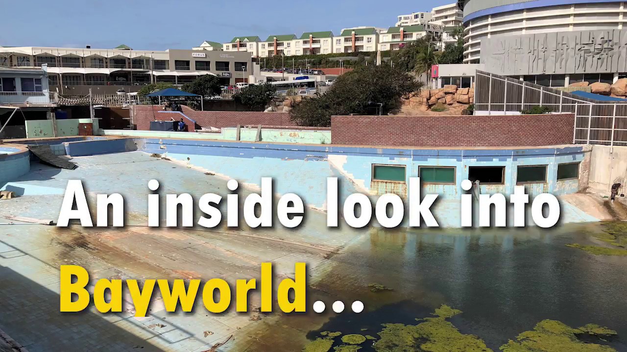 An inside look into Nelson Mandela Bay's Bayworld