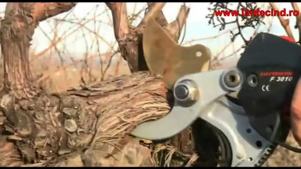 LANTEC - Mai mult decât horticultură - Foarfecă electrică INFACO
