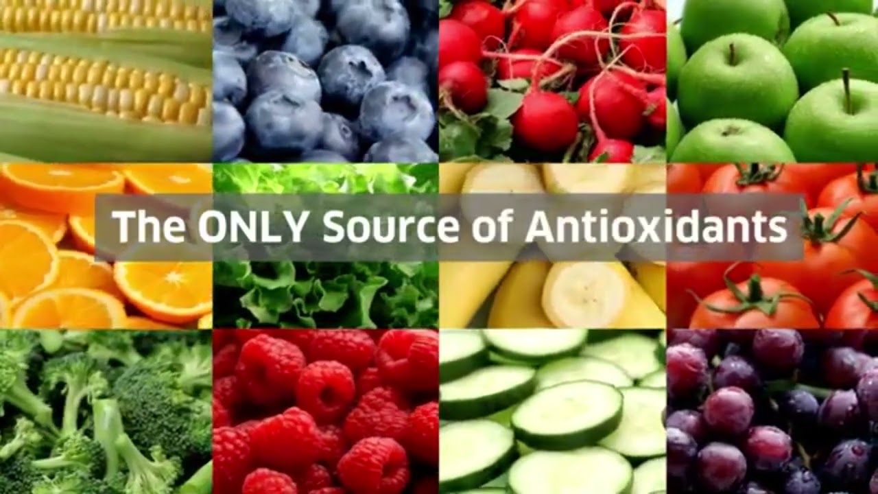 FitLine. Zellschutz Antioxy