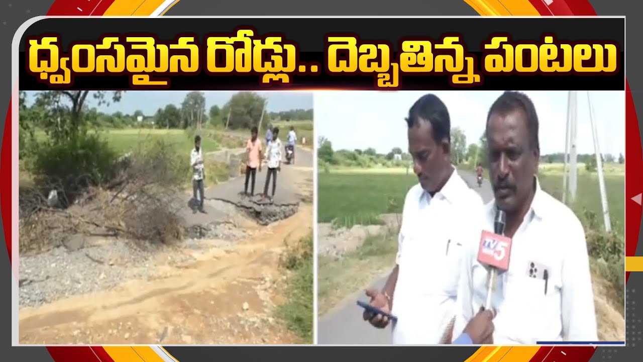Montha Toofan Effect In Karimnagar District | Huge Crop Loss In Karimanagar | TV5 NewsApT