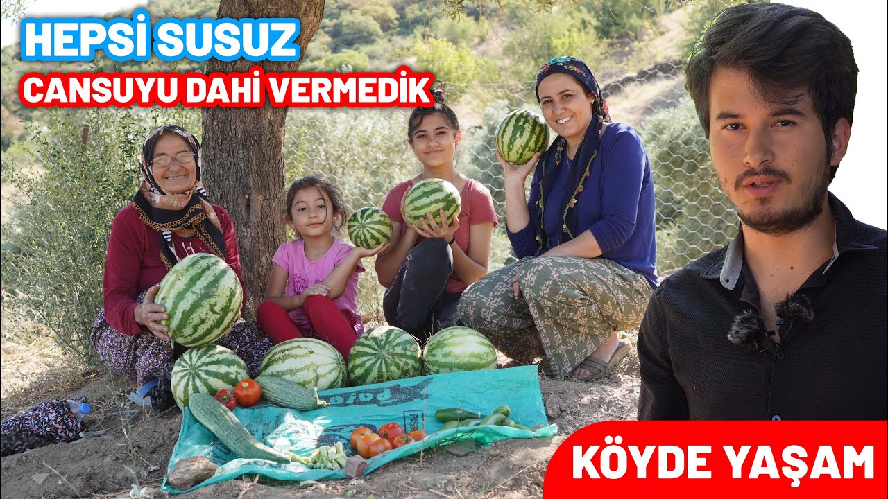 HİÇ SU VERMEDEN MAHSÜL YETİŞİR Mİ ? SUSUZ KARPUZ NASIL YETİŞİR? KÖYDE YAŞAM | KÖY HAYATI KÖYDE HAYAT