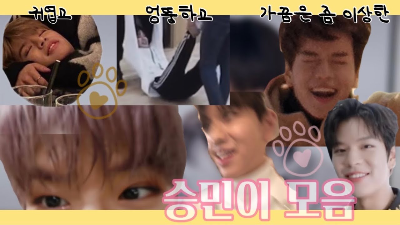 [스트레이 키즈 승민] 내 기준 귀엽고 엉뚱하고 웃기고 하나 빠진...? 승민이 모음 | Stray Kids Seungmin moment