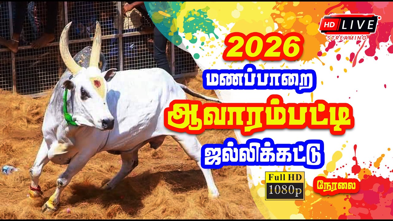 🔴 Live | மணப்பாறை - ஆவாரம்பட்டி ஜல்லிக்கட்டு நேரலை / Manaparai - Avarampatti Jallikattu Live