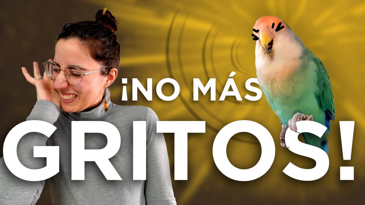 3 MOTIVOS + SOLUCIONES 💥 ¿Por qué GRITA tu lorito?