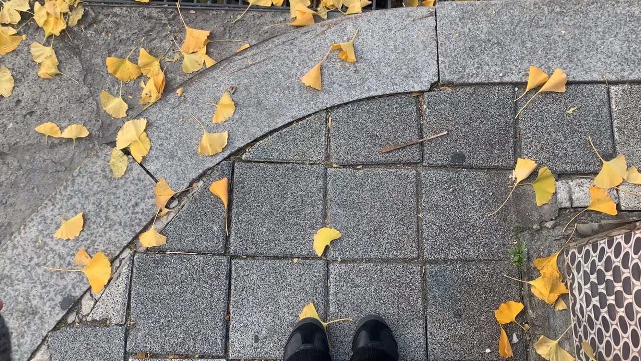 나만의 연말 회고 브이로그