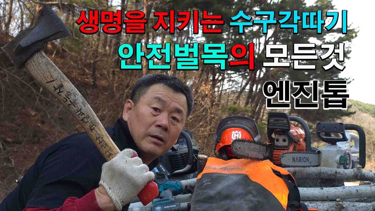 생명을 지키는 수구각 따기 엔진톱 안전 벌목의 모든 것