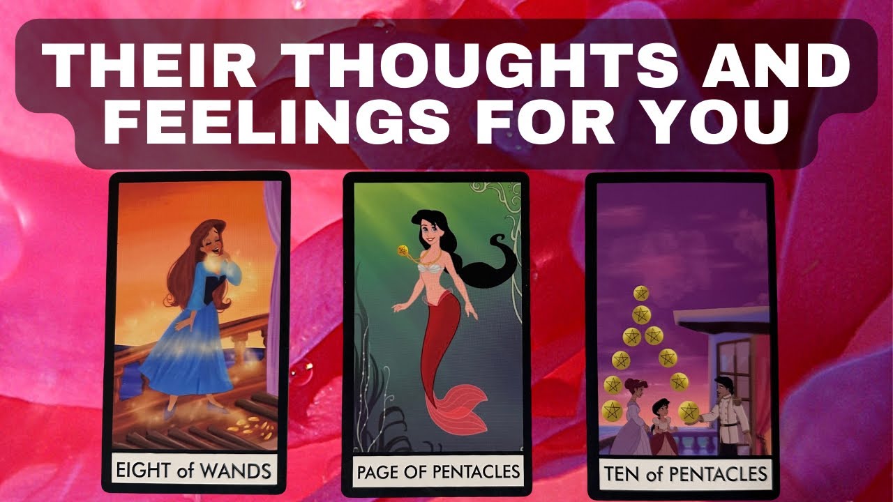 Their Thoughts And Feelings For You Now 🤍Pick A Card🤍