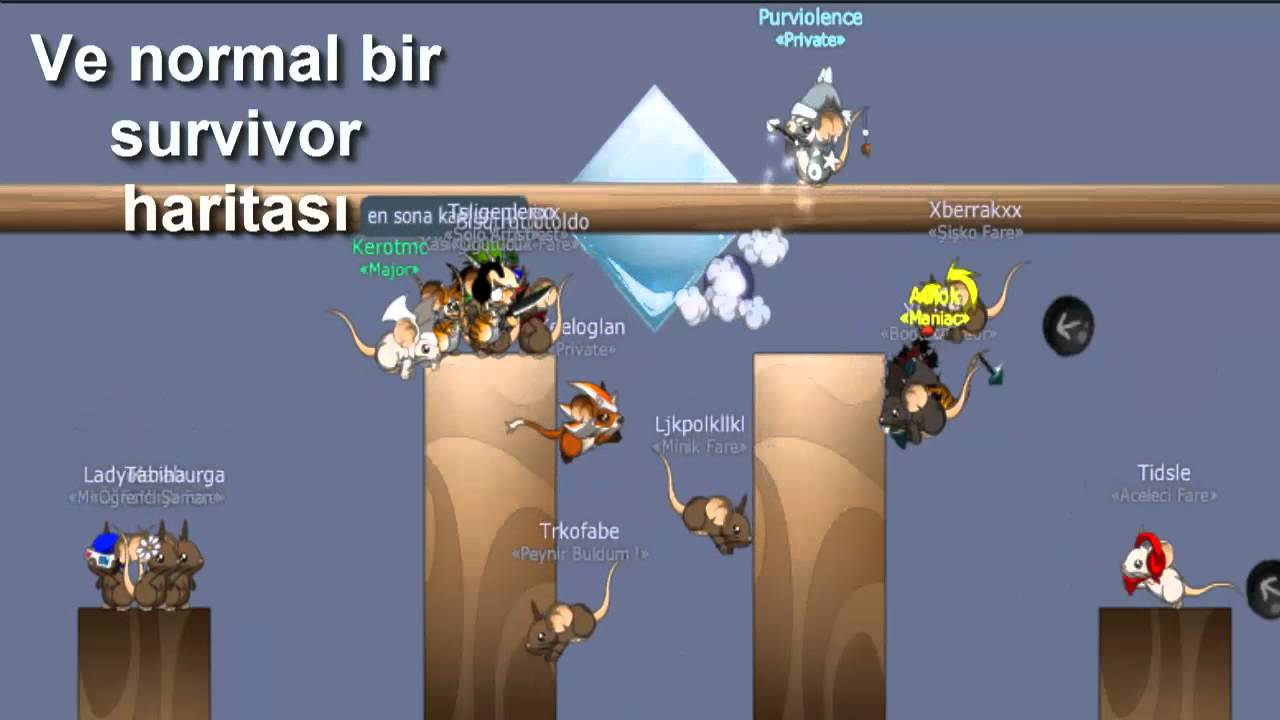 Türkler ile Transformice ( Survivor )