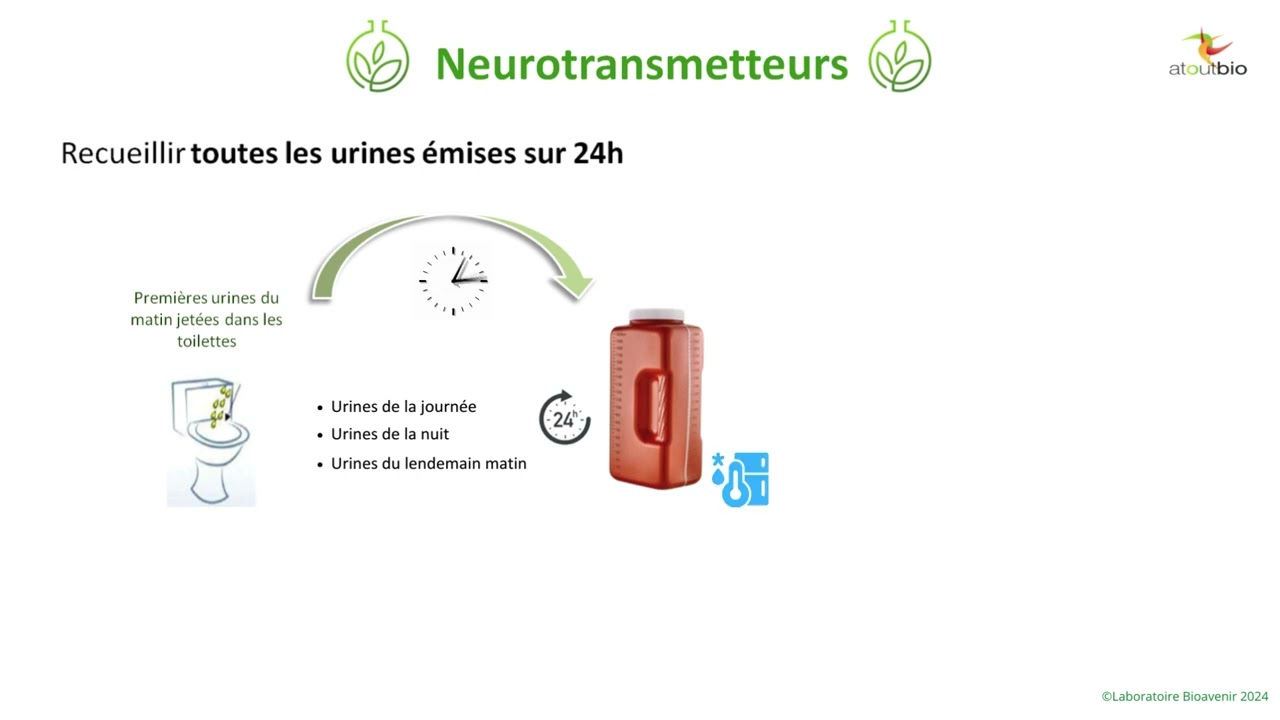 Recueil - Urines acidifiees 24h - Bilan des Neurotransmetteurs