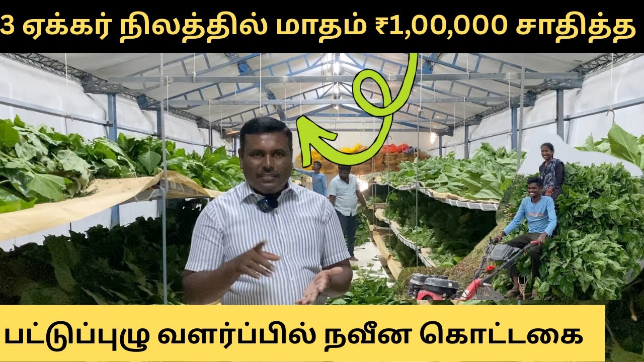 Hi tech house for sericulture | more income from silkworm #sericulture 