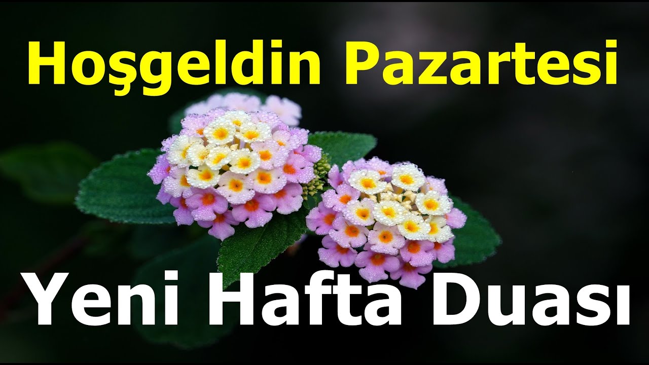 Hoşgeldin Pazartesi - Allah'ım Bizleri Yoklukla Sıkıntıyla Hastalıkla Sevdiklerimizle İmtihan Eyleme