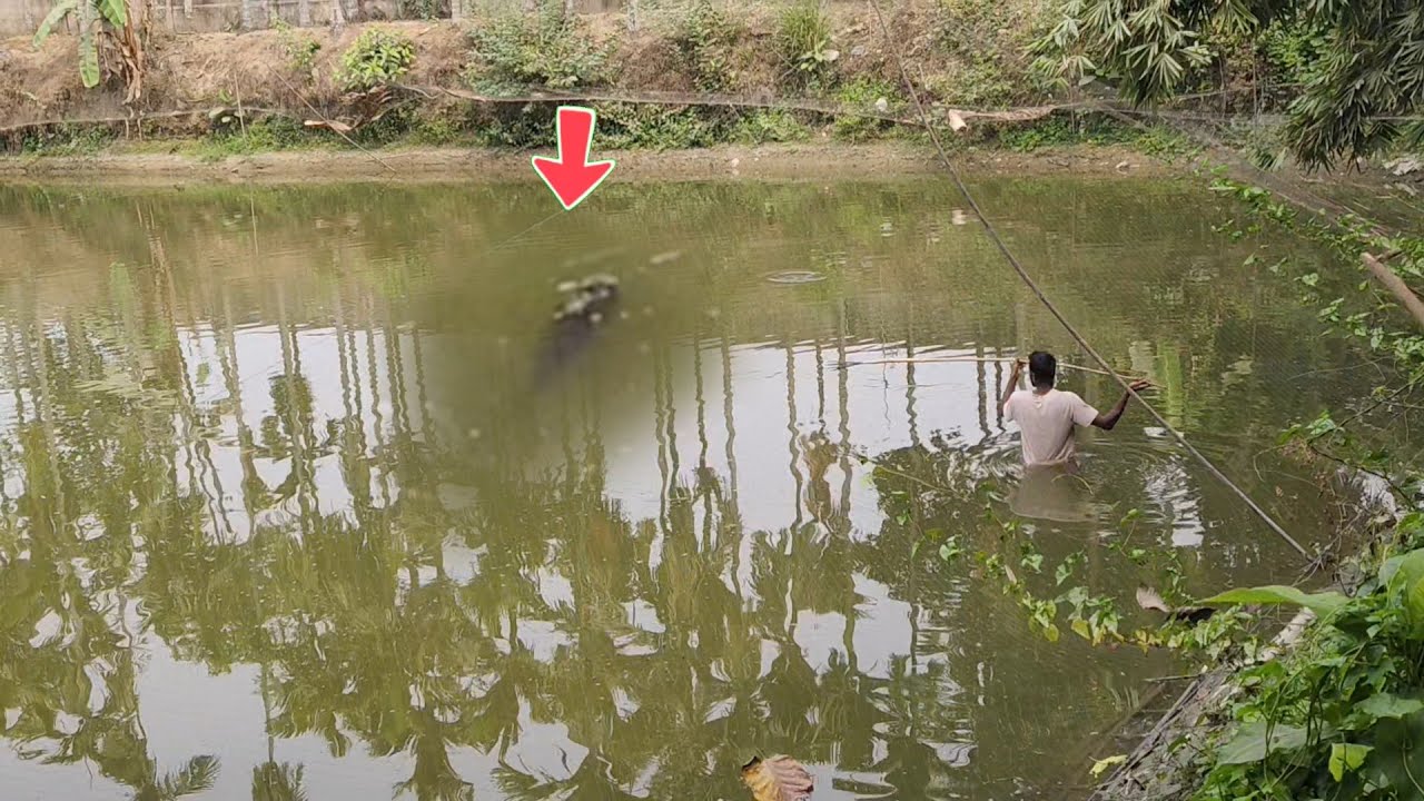 4 কেজি ওজনের মাছ ধরলাম্ টেটা দিয়ে😱  Fishing video vlog video amazing vloge video 