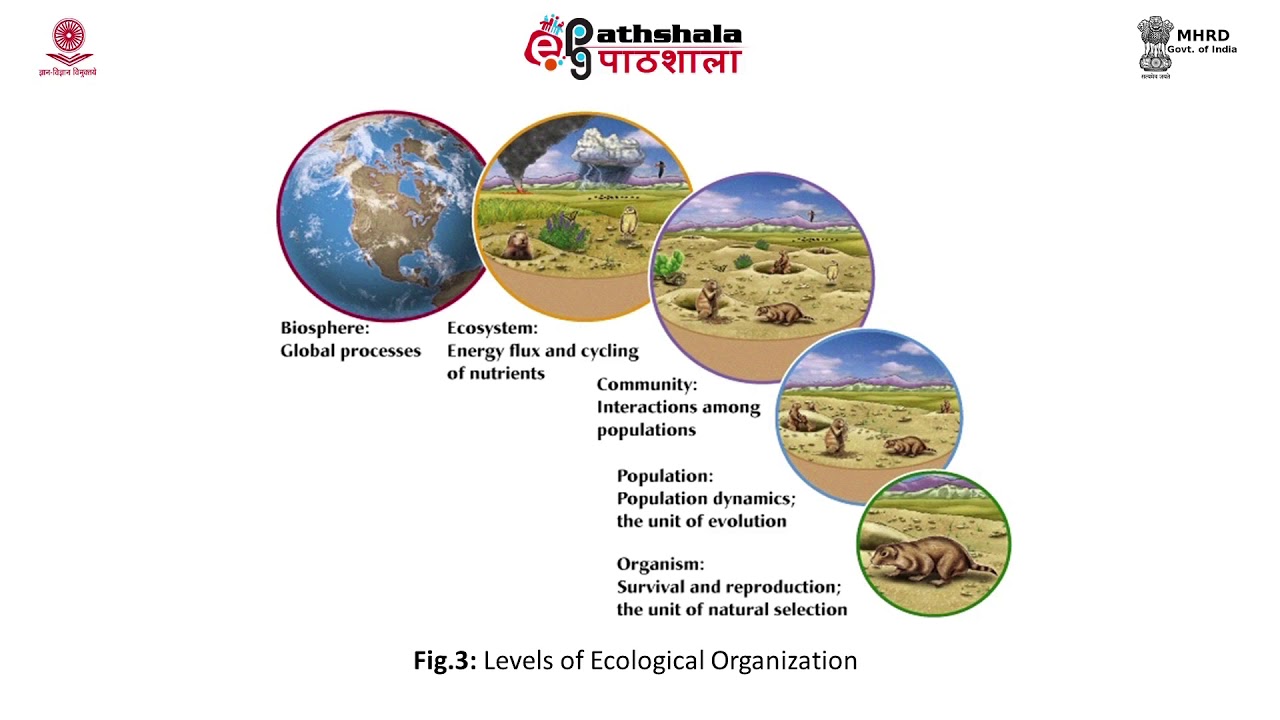 Introduction to the science of ecology Part 1