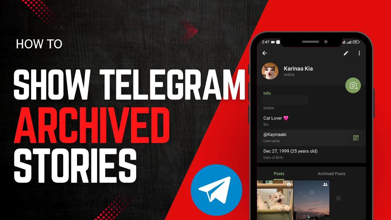 How to Show Old Stories from Telegram Profile