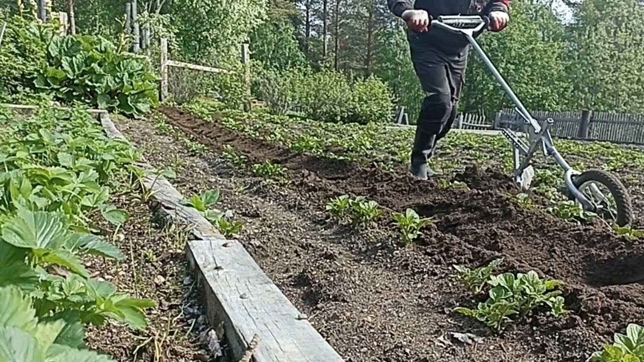 Спец окучник из багажника для крайних рядков