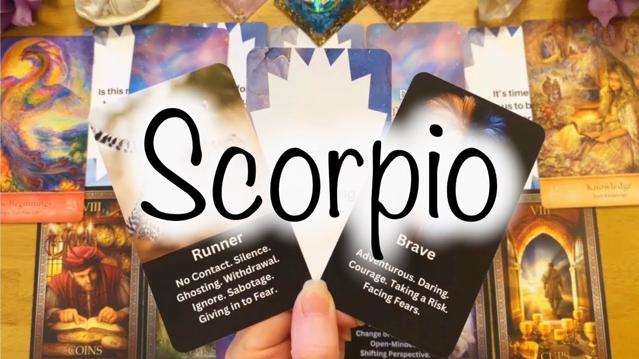 SCORPIO💘 OMG!!! There's An Accidental Meeting In Your Future That's NO...Accident!🔮👀