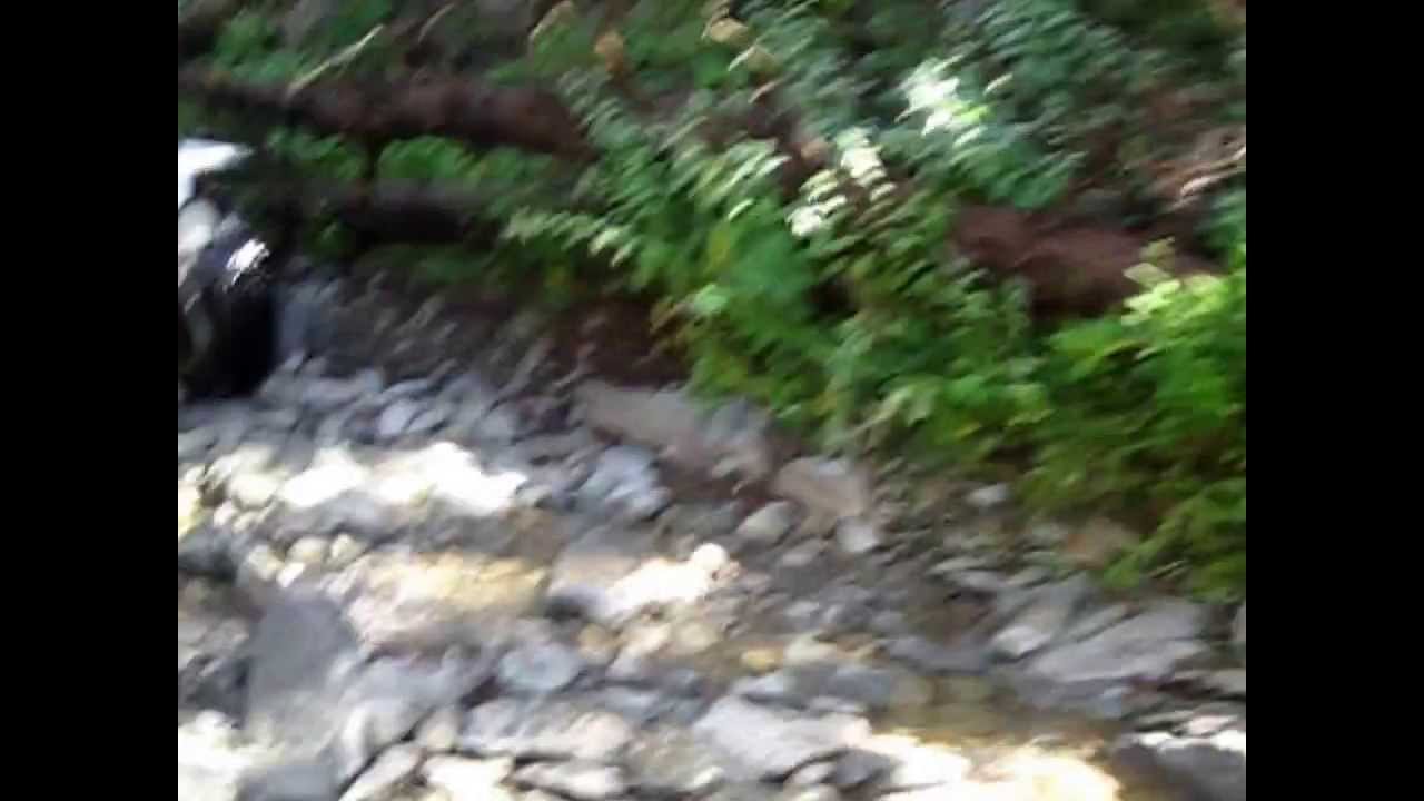 Illegal Wheeling 18 Day 2