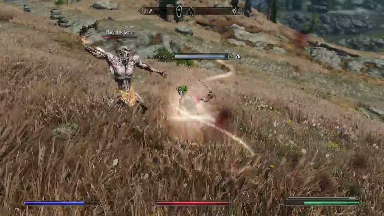 Skyrim: Testing True Directional Movement
