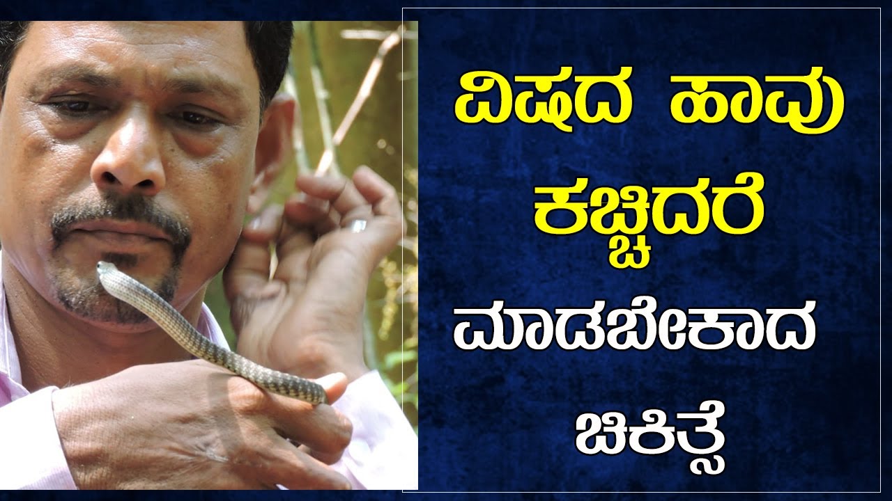 ನಾಟಿ ಔಷಧಿ ಹಾವು ಕಚ್ಚಿದಕ್ಕೆ ಪರಿಣಾಮಕಾರಿಯೇ part 7| graft drug is effective for snake bite gururaj sanil