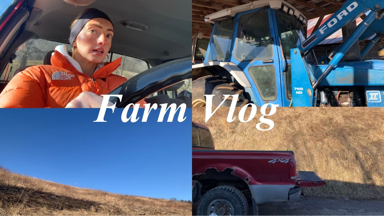 Farm Vlog: Walks with Ruby, Feeding the Horse, Taking in the Views, and an Evening in my Life