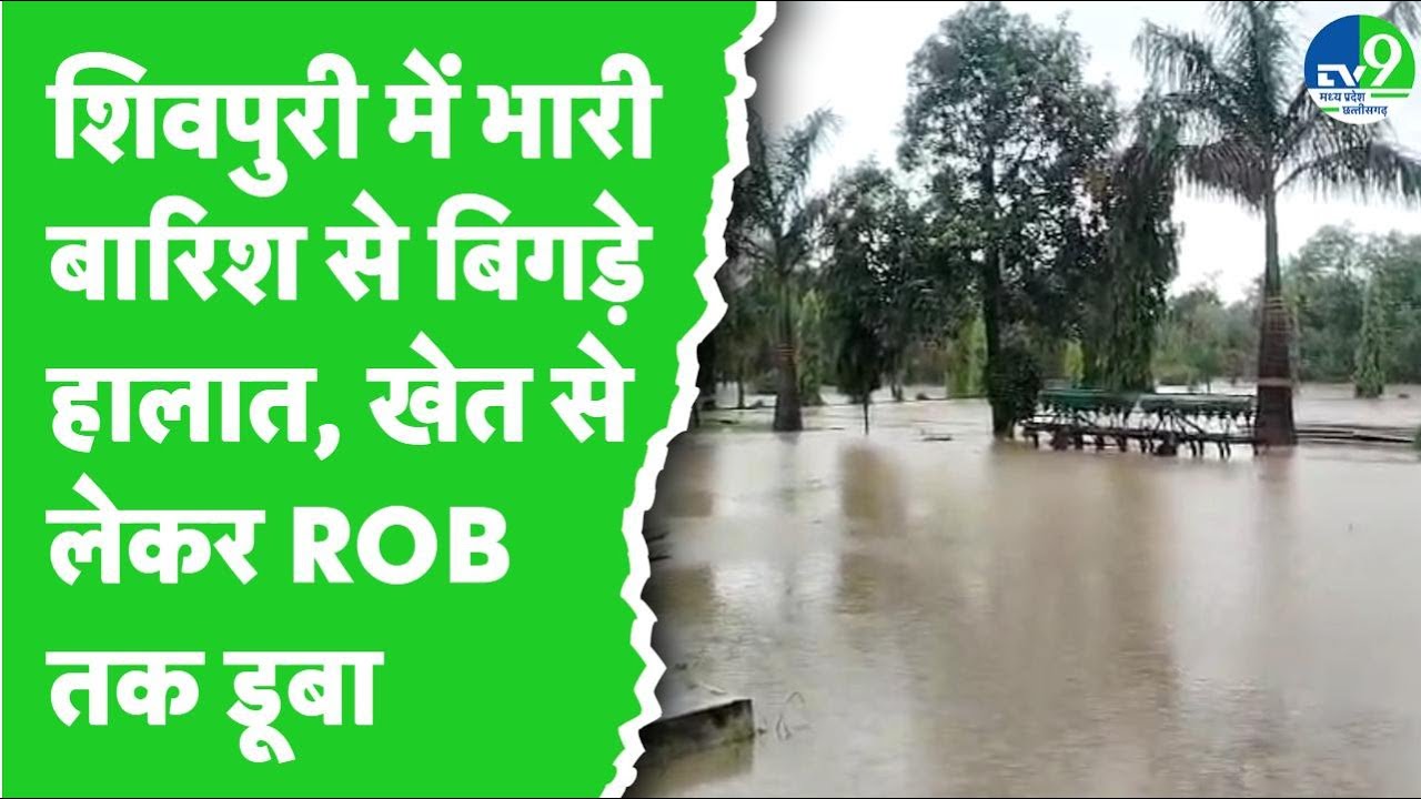 Shivpuri Weather: शिवपुरी में बारिश से जन जीवन प्रभावित, मड़ीखेड़ा डैम का जलस्तर बढ़ा
