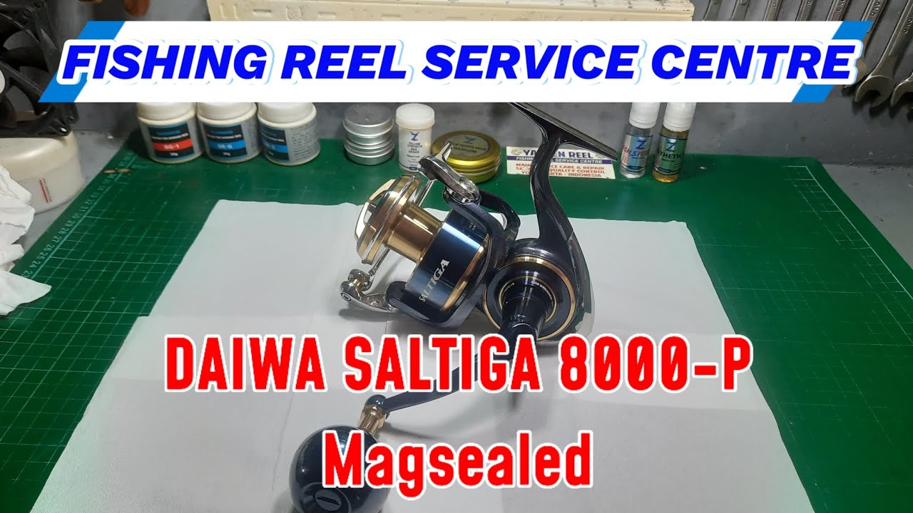 🔴 DAIWA SALTIGA 8000-P FULL SERVICE || MAINTENANCE * 360