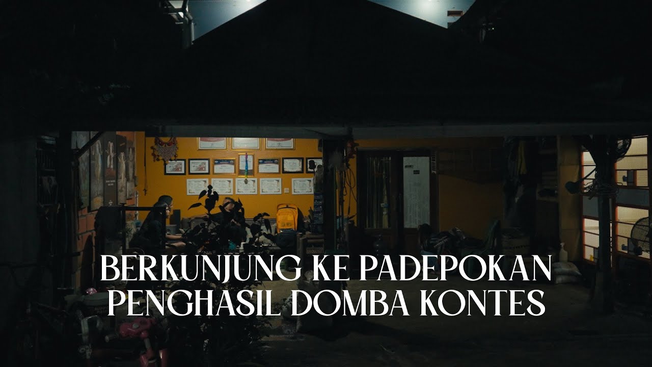 SILATURAHMI KE KANDANG PENGHASIL DOMBA KASEP SPEK KONTES DI TASIKMALAYA