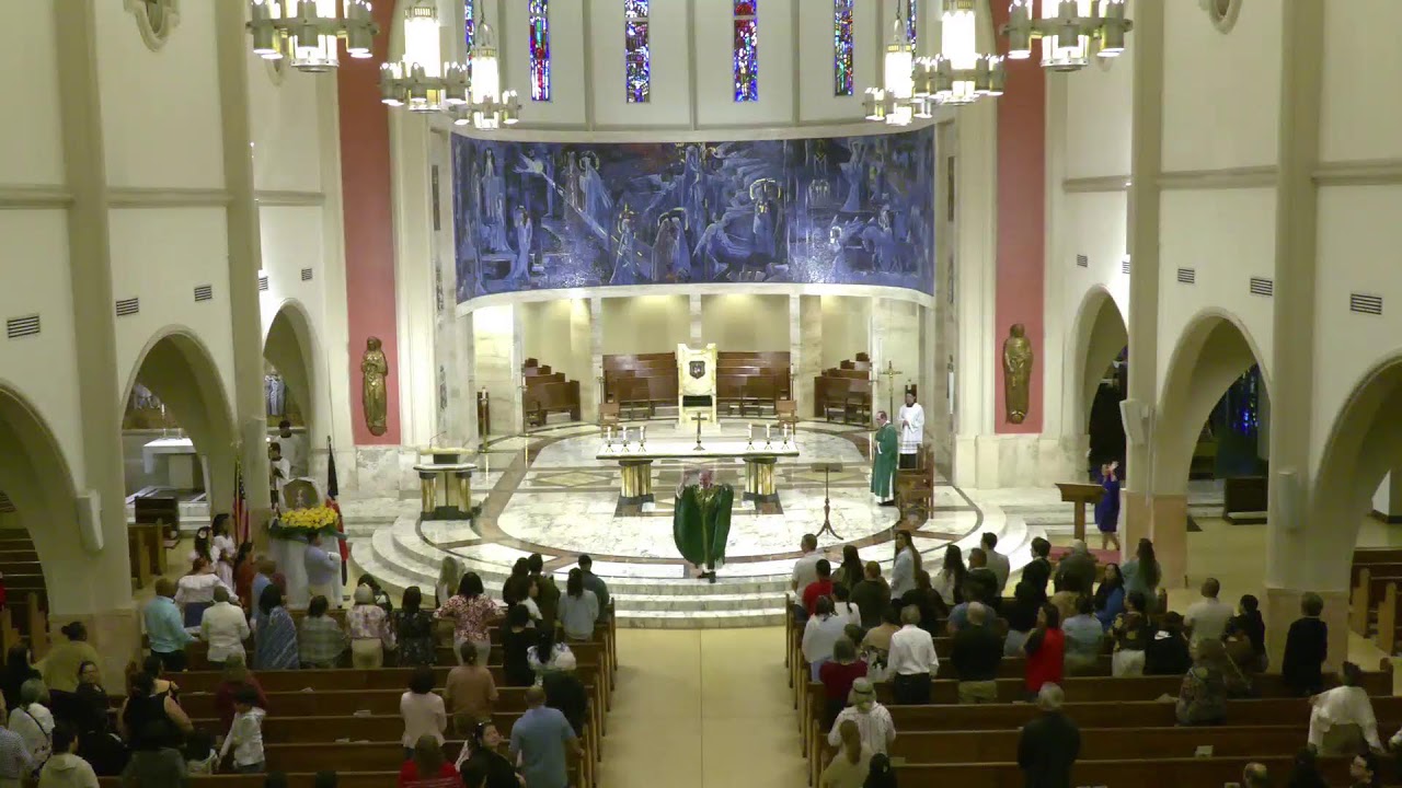 II Domingo Ordinario | La Catedral de Santa María - Miami, Florida