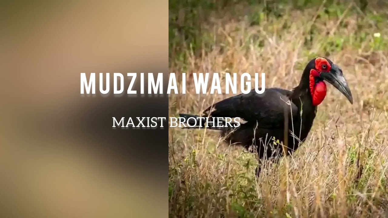 Marxist Brothers - Mudzimai Wangu ( 1900s original production)