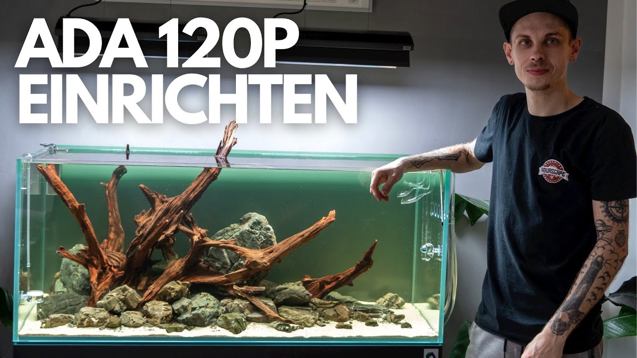 ADA 120P Aquarium einrichten! NATURE STYLE Aquascape