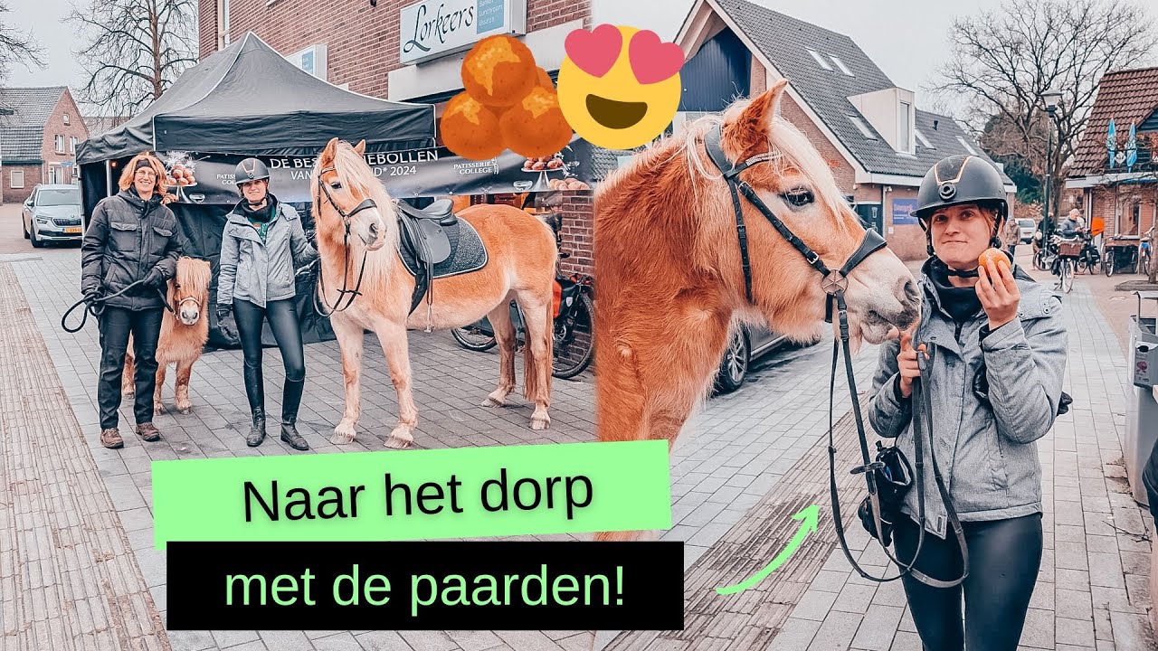OLIEBOLLEN halen met de PAARDEN & Ravenna halverwege haar DRACHT! | BROVENNA | VLOG 140 🐴