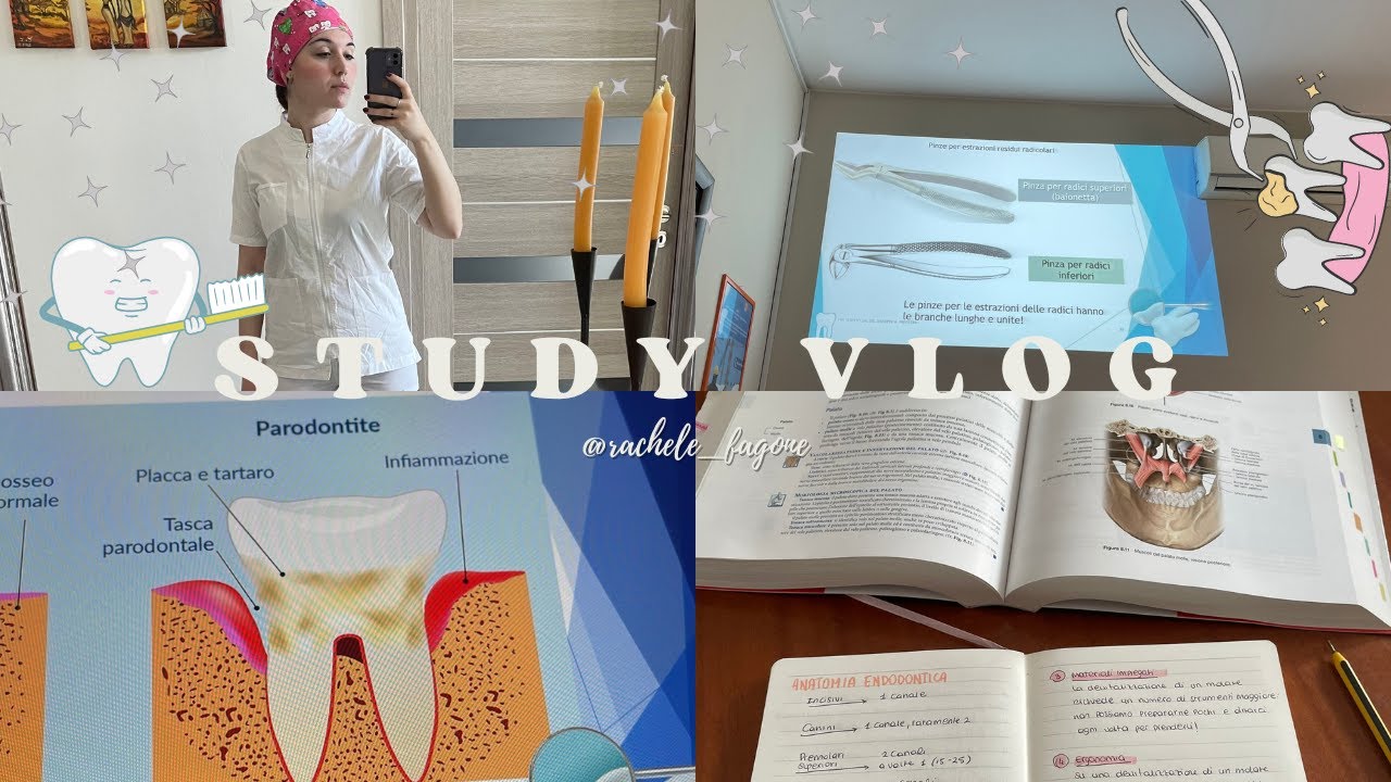#2 Study vlog dentistry || ultime letture, cagnoloni, sessioni di studio, tirocinio