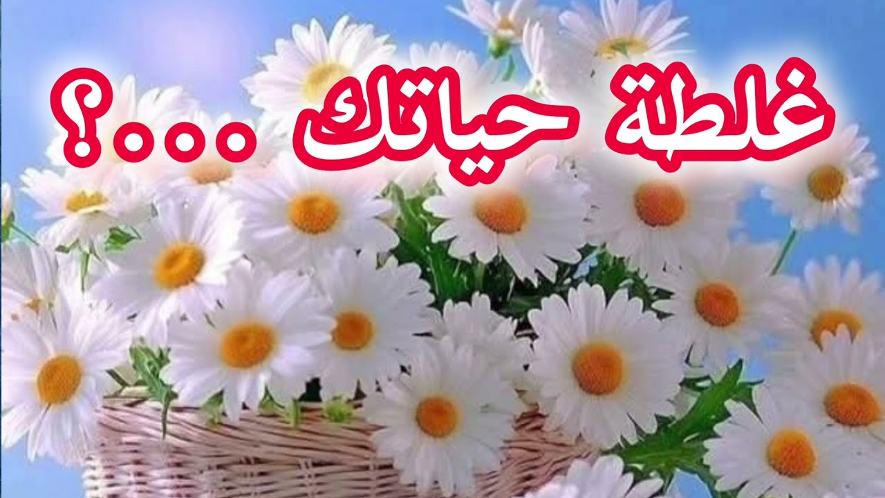ماشي كل غلطة تسمى غلطة حياتنا🤔 أرواحي نقولك على أهم الغلطات الي يستاهلوا نقولوا عليهم غلطة حياتنا😱