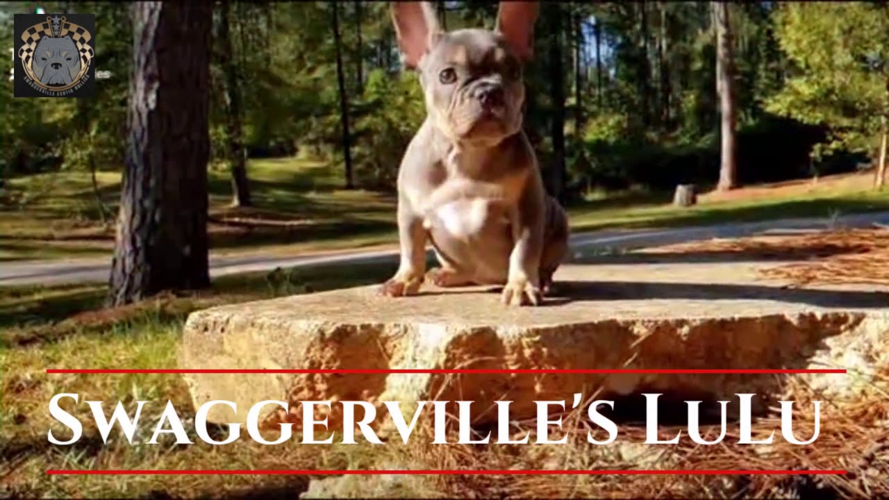 Swaggerville's LuLu