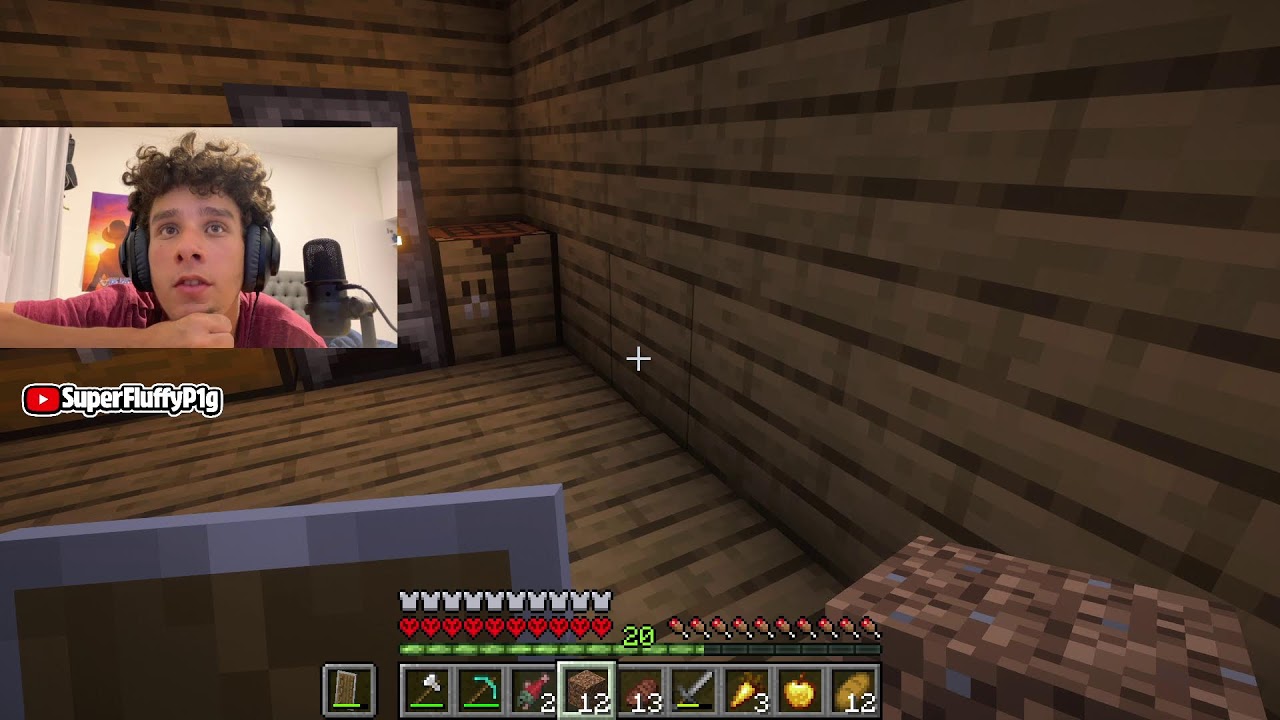 Minecraft Hardcore: Beginnings
