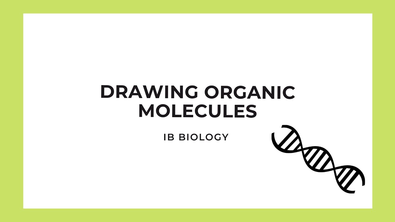 IB Biology: Drawing Organic Molecules