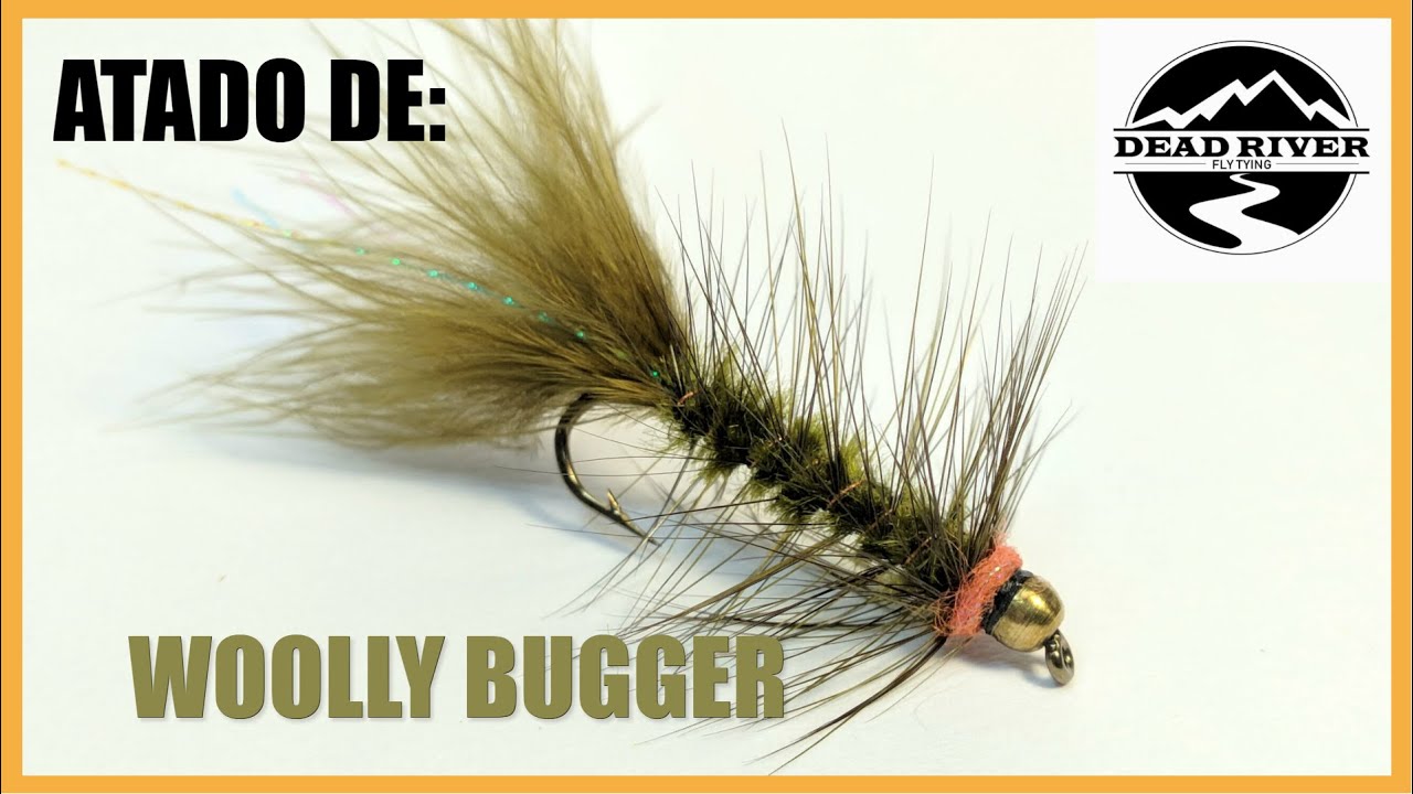 🔴Atado de WOOLLY BUGGER en Español  2020 | Streamer para trucha | Patagonia argentina 🔴