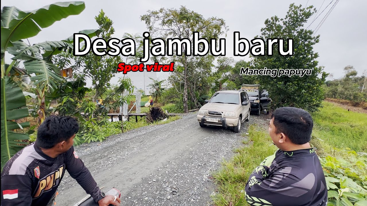 DESA JAMBU BARU SPOT VIRAL MANCING BERBAYAR