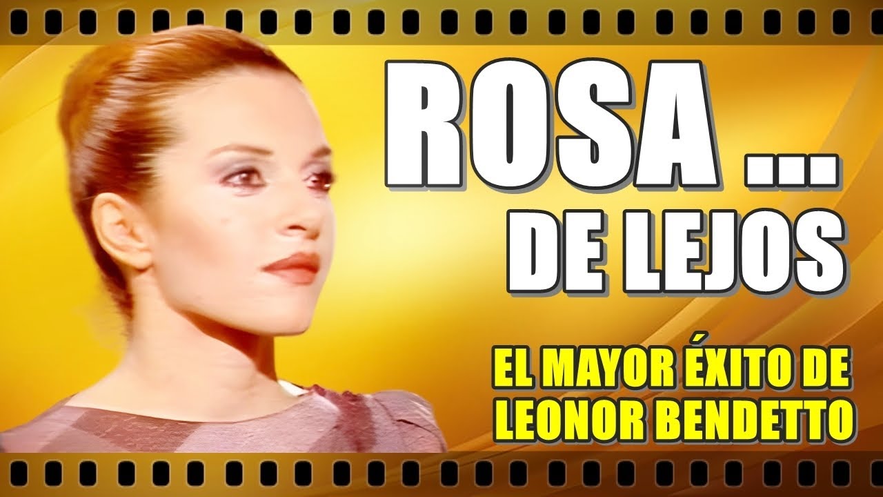 ROSA ... DE LEJOS