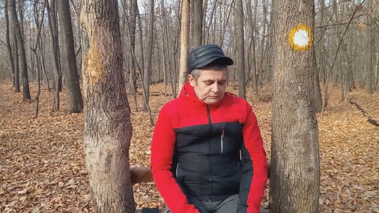 Обзор бюджетных сигарилл Havanas Strawberry.