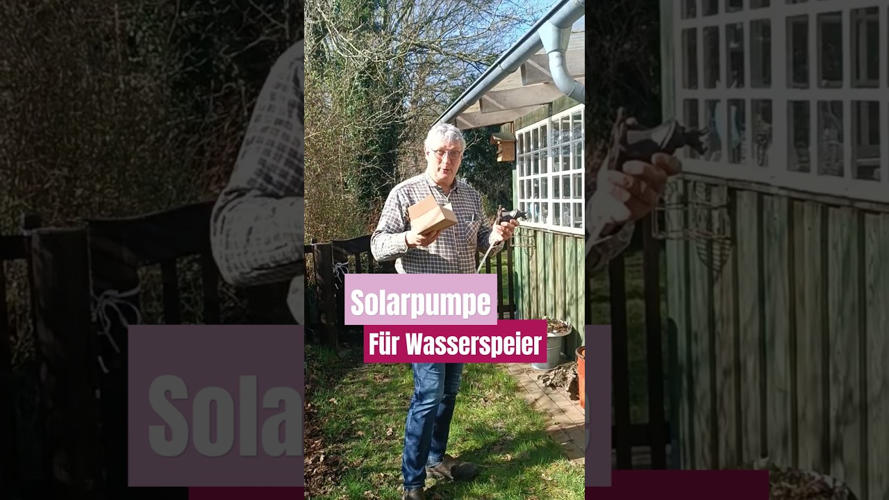 Solarpumpe f&uuml;r Wasserspeier - Gartendeko mit Mini-Teich und Solar Springbrunnen ☀️ #decoration #diy