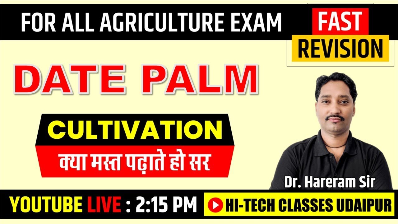 Date Palm Cultivation | Fruit Production | Khajur ki kheti | Date farming | Tissue culture Khajoor