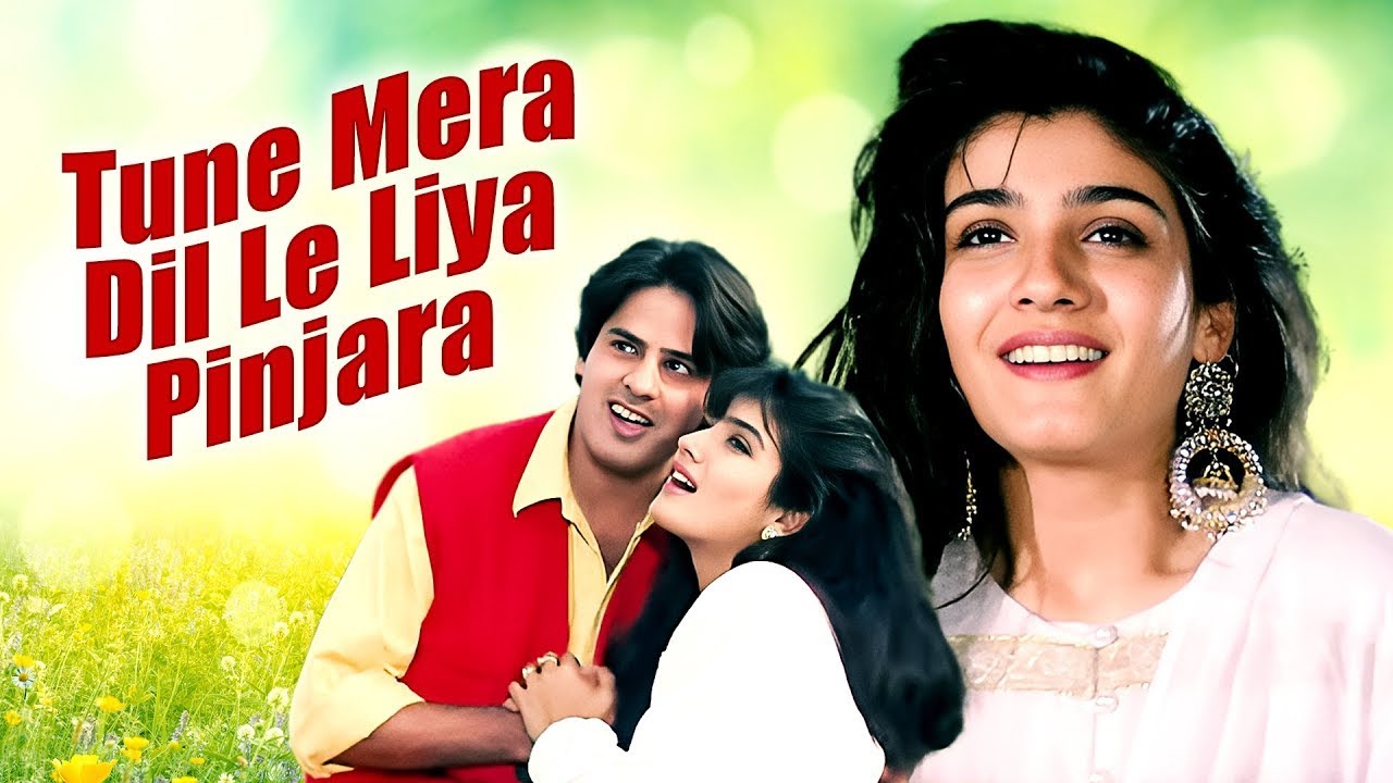 Tune Mera Dil Le Liya (2000) Full Hindi Movie - Raveena Tandon, Rahul Roy - Bollywood Romantic Movie
