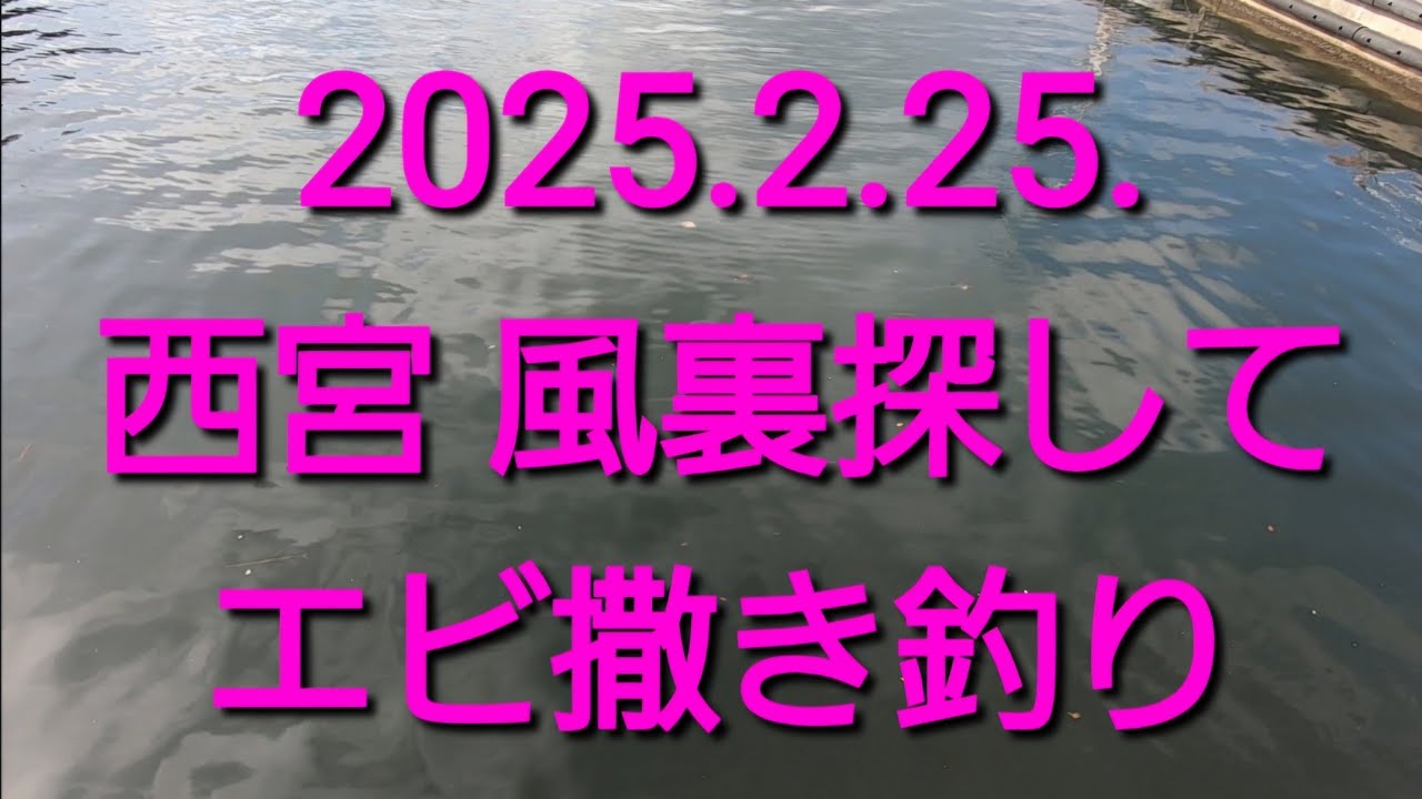 2025.2.24. 寒波襲来、風裏を探して（西宮、芦屋）エビ撒き釣り　