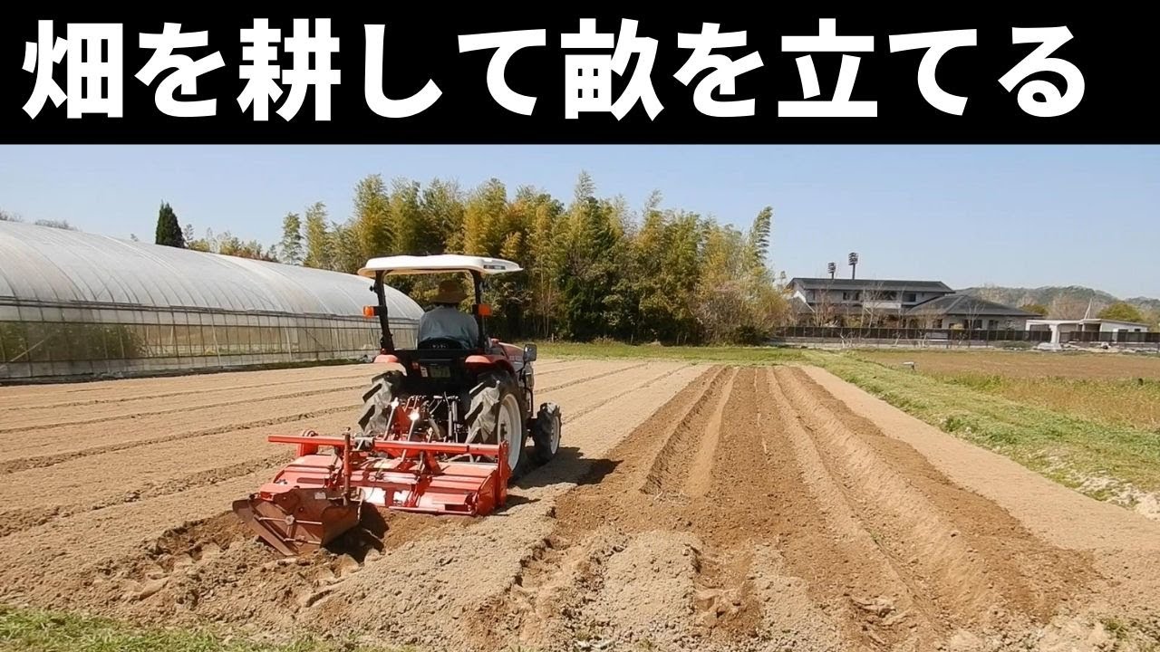 251：晴れ続きで乾いた畑、トラクターで耕して畝を立てる2204