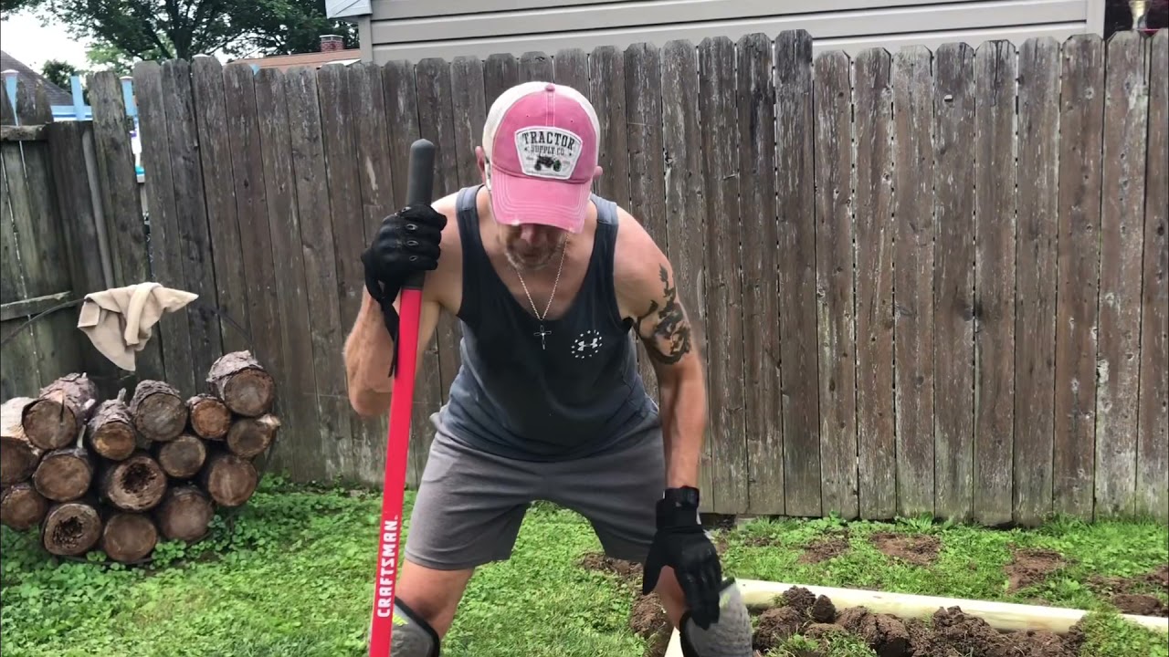 Russian Tortoise Enclosure Build