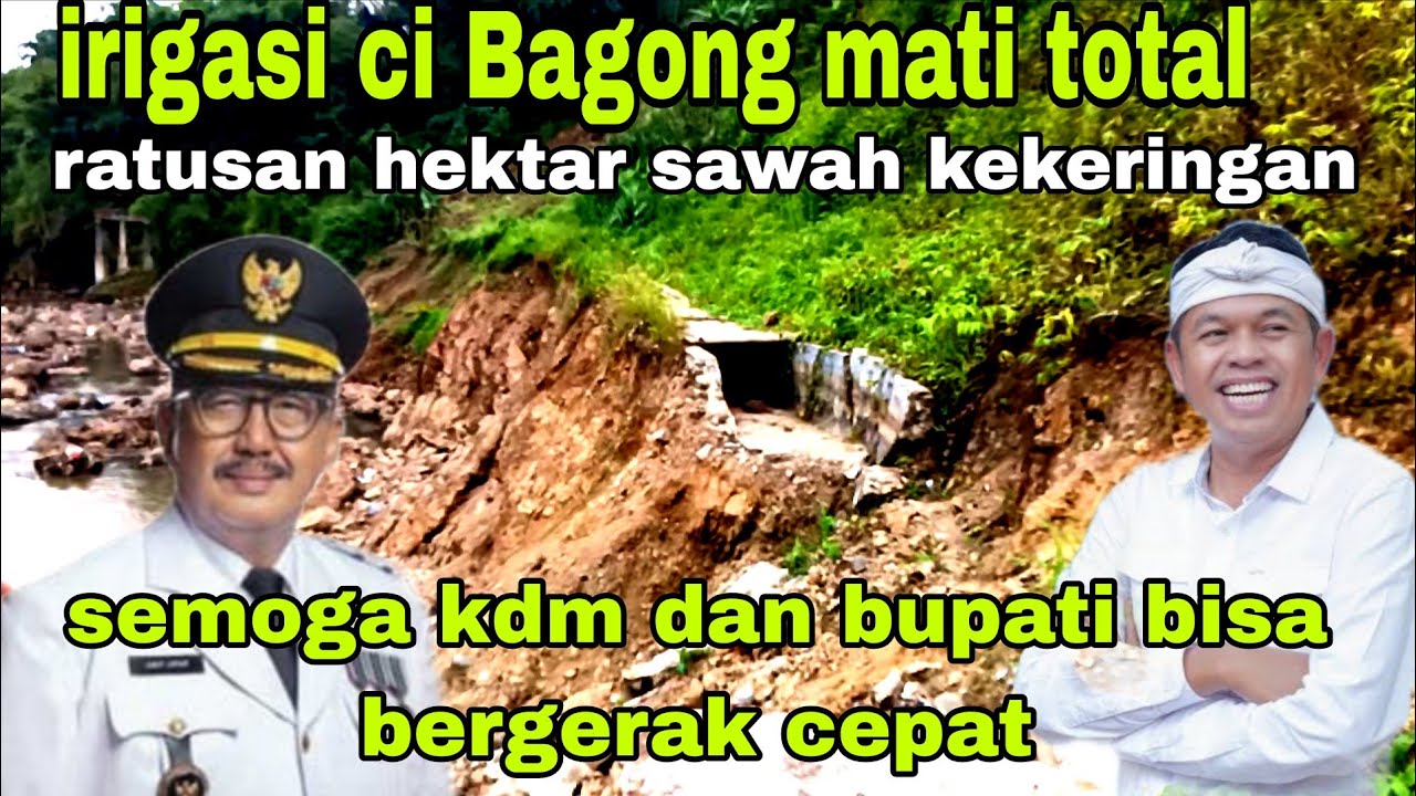 SEMOGA BUPATI DAN KDM‼️ MENDENGAR MASALAH INI ,irigasi inilah harapan warga satu satunya