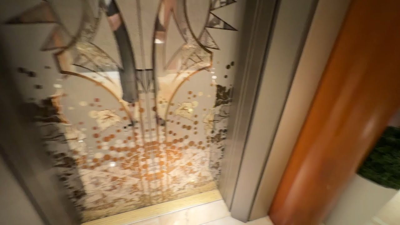 Amazing Talking KONE And Schindler Elevators, Royal Caribbean's Vision Of The Seas, Aft